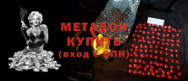 прущие грибы Ачинск