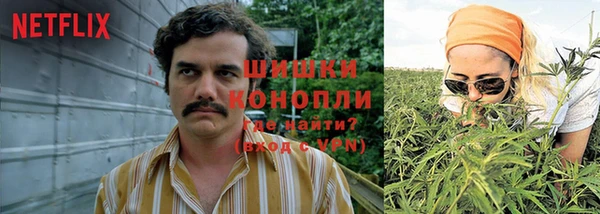 крисы Липки