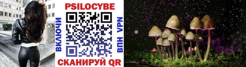 где купить   Армавир  Галлюциногенные грибы GOLDEN TEACHER 