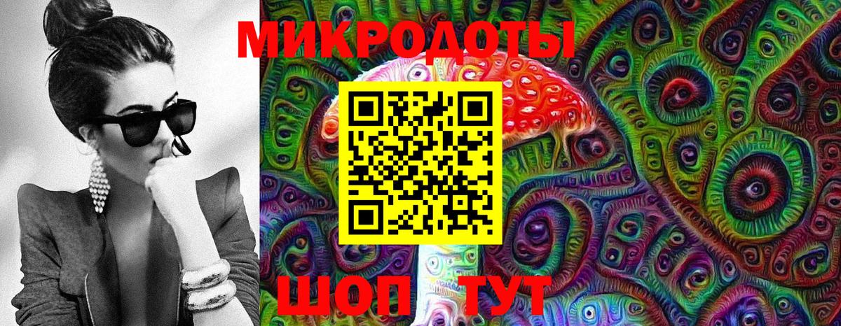Псилоцибиновые грибы мухоморы Армавир
