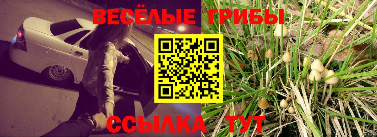 Армавир  Псилоцибиновые грибы MAGIC MUSHROOMS  Вход с VPN 