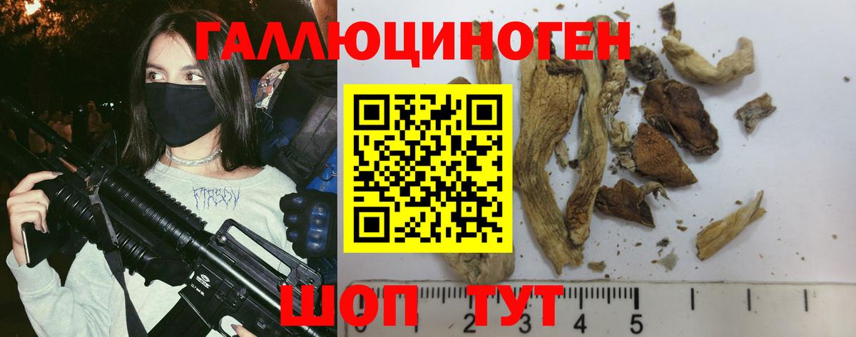 Псилоцибиновые грибы GOLDEN TEACHER  Армавир 