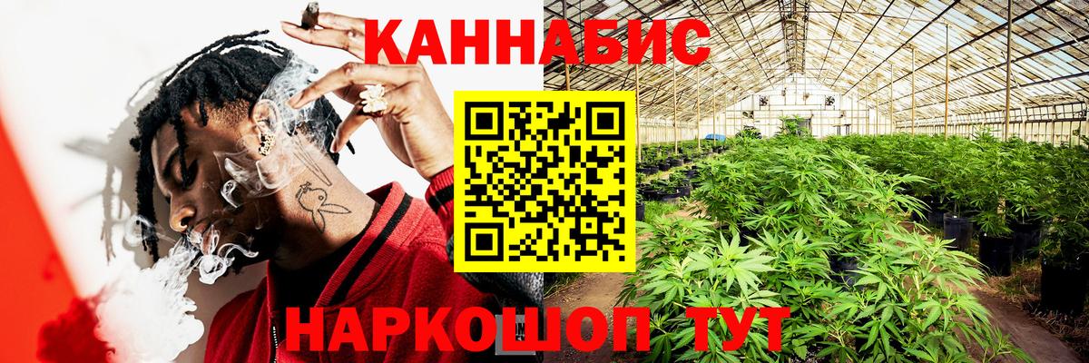 Конопля семена  МАРИХУАНА Bruce Banner  Армавир  Марихуана сатива  Вход с VPN 